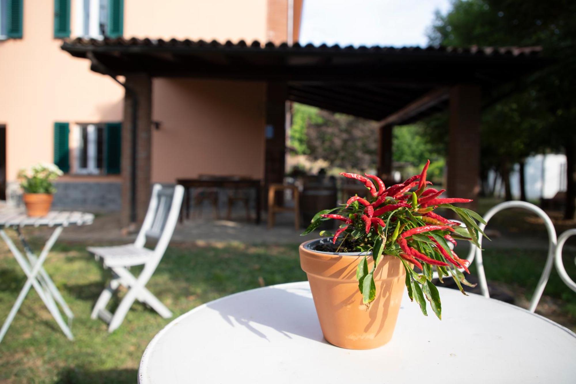 Country Boutique Paradiso Valmadonna Экстерьер фото
